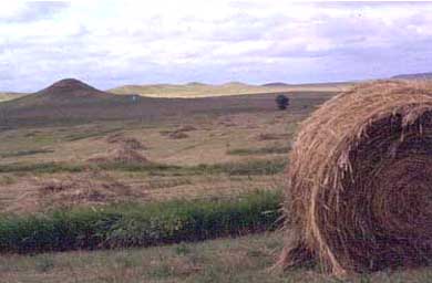 Photo of haystack
