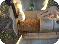 Soil Core