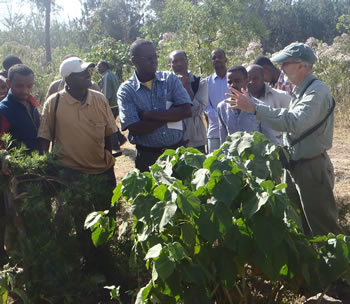 Dr. Bill Romme teaching forestry at Wondo Genet