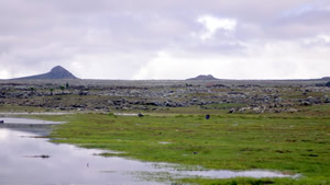 The Sanetti plateau in the Bale Mountains