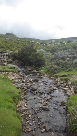 A stream in the Bale mountain headwaters