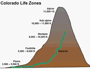 Colorado Life Zones image