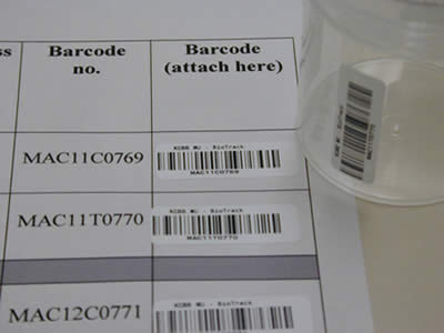 Close-up of barcodes