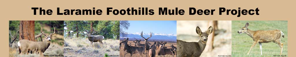 The Laramie Foothills Project header with deer photos