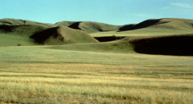 Mongolia Grassland Photo