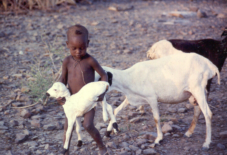 Child with goat - Ngorongoro Conservation Area