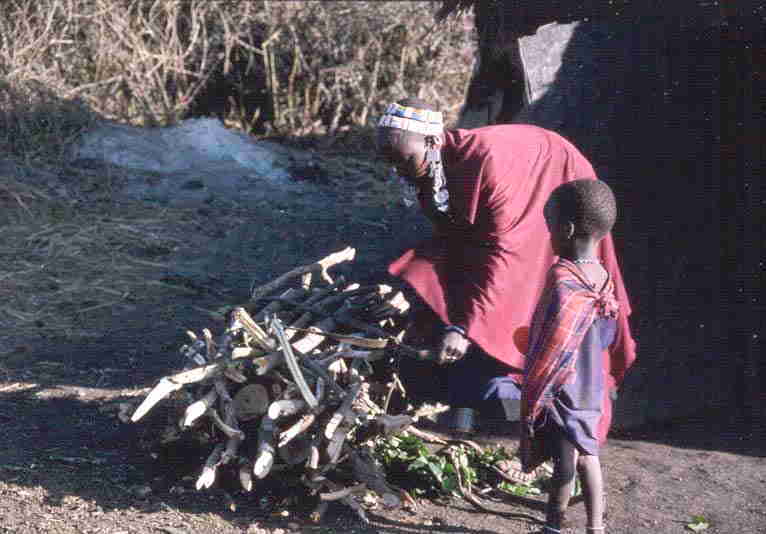 Woman and child collecting firewood - Ngorongoro Conservation Area
